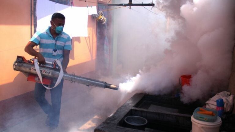 Sesal lanza campaña nacional de fumigación contra el Dengue