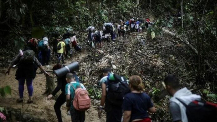 Panamá reportó 45 migrantes fallecidos en la selva de Darién en 2024