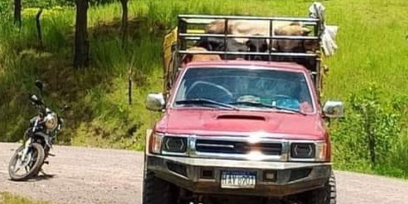 Desconocidos asesinan a un comerciante de ganado en Manto, Olancho