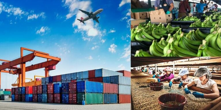 Exportaciones disminuyeron en un 5.3% en comparación al 2023