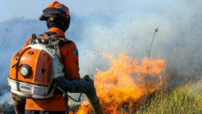 Incendios en Brasil