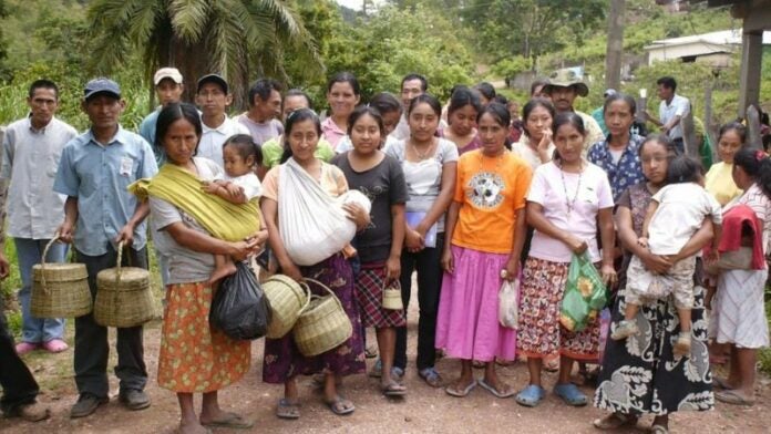 Grupos indígenas reconocimiento de tierras