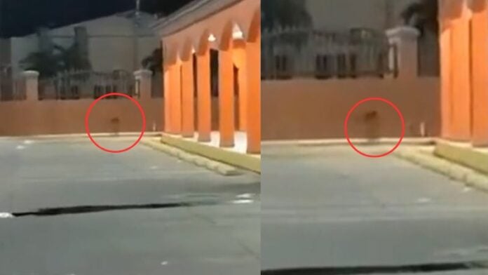 Captan supuesto fantasma en Choloma