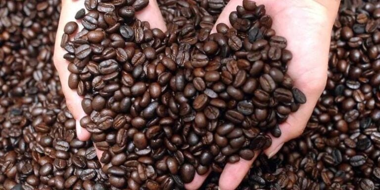 Ihcafé: Exportaciones de café al mercado internacional generan $1,114 millones