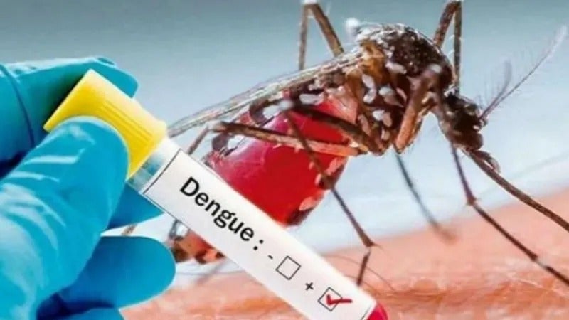 Al menos 40 casos de dengue registran a la semana en Siguatepeque