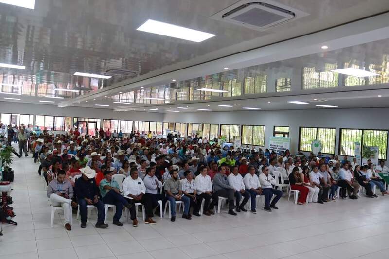 Lanzan el programa de Renovación del Parque Cafetero Nacional