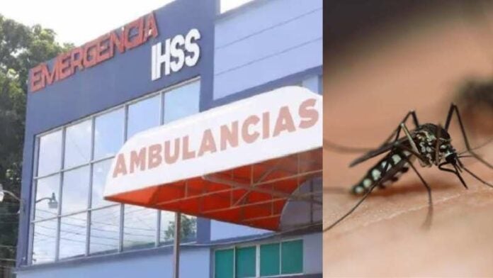 Reportes de dengue en el IHSS