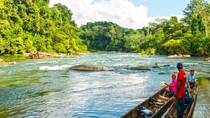 Gobierno anuncia que los ocupantes de la Biosfera y zonas de reserva abandonan el diálogo