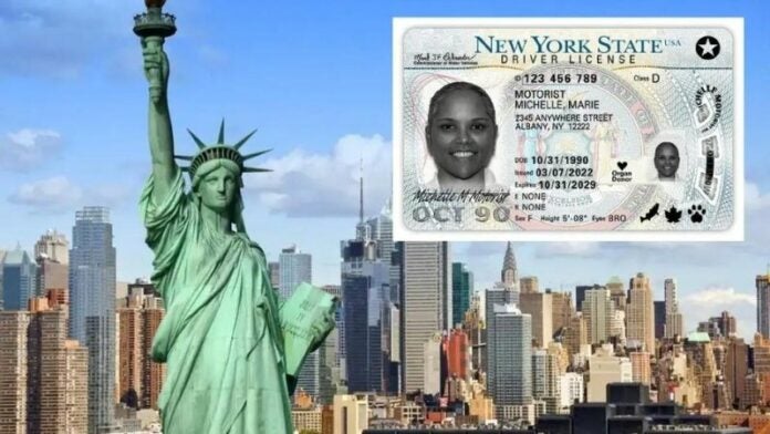 Requisitos para indocumentados que buscan tramitar licencia de conducir en NY