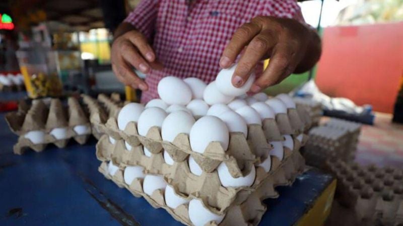 Productores: aumentos al huevo buscan regular demanda de consumo