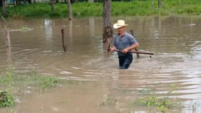 Con el agua a la rodilla en sectores de Olancho por lluvias