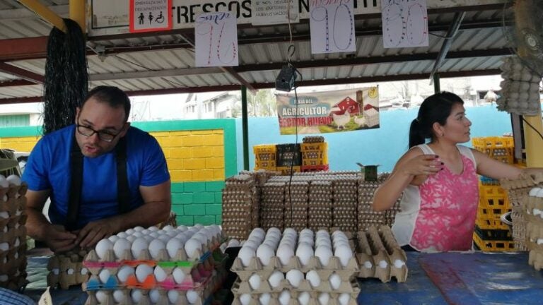 Vendedores de huevos denuncian amenazas de multas por aumento