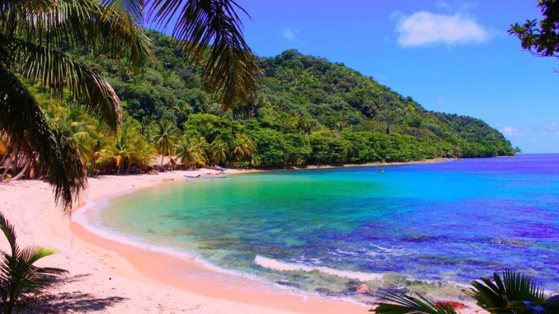 Playa Cocalito en La Tela recibe la Bandera Azul Ecológica