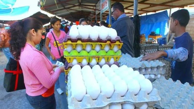 Esta semana, el precio del cartón de huevos grandes en los mercados de Tegucigalpa se mantiene en 85 lempiras.