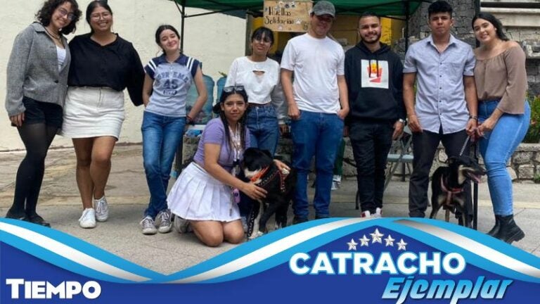 Huellas Solidarias, Una esperanza para los animales en abandono