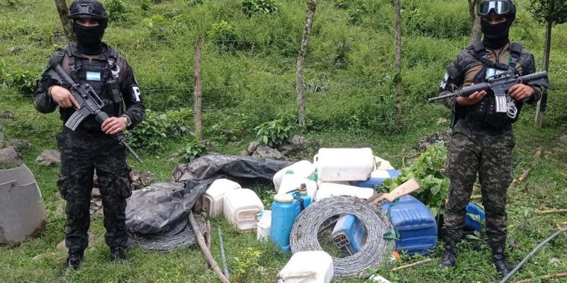 Incautan 64 mil arbustos de hoja de coca en parque "Pico Bonito"