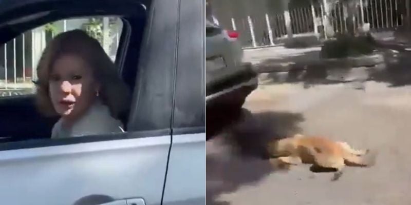 Video: Mujer arrastra a un perro con su vehículo porque "se lo dañó"