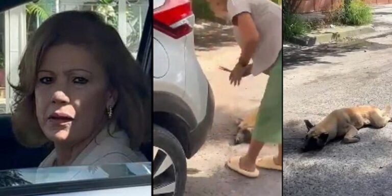 Video: Mujer arrastra a un perro con su vehículo porque "se lo dañó"