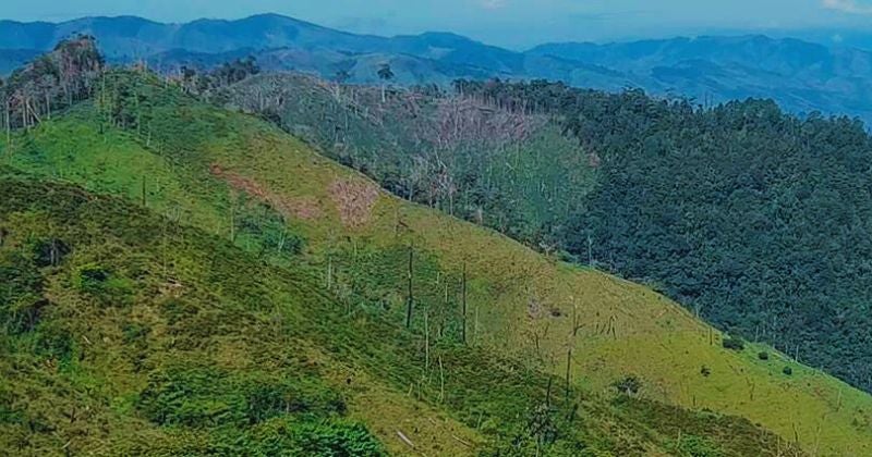 Presentan requerimiento fiscal por daños ambientales en Parque Nacional