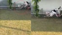 un-pitbull-salvo-la-vida-de-unos-ninos-tras-matar-a-una-cobra-2