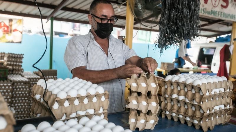 A 75 lempiras se cotiza el cartón de huevos en el Mercado Belén