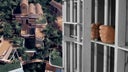 zedes-prision-1-2