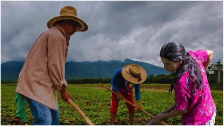 Agricultura amigable en áreas protegidas