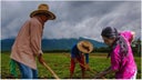 agricultura-amigable-en-honduras