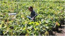 agricultura-amigable