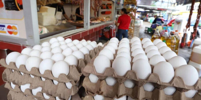 carton de huevos