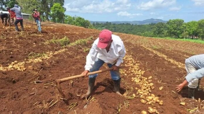 Inicia el Censo Agropecuario Nacional 2024: INE