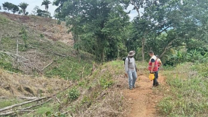 Fiscalía daños ambientales montaña Masica