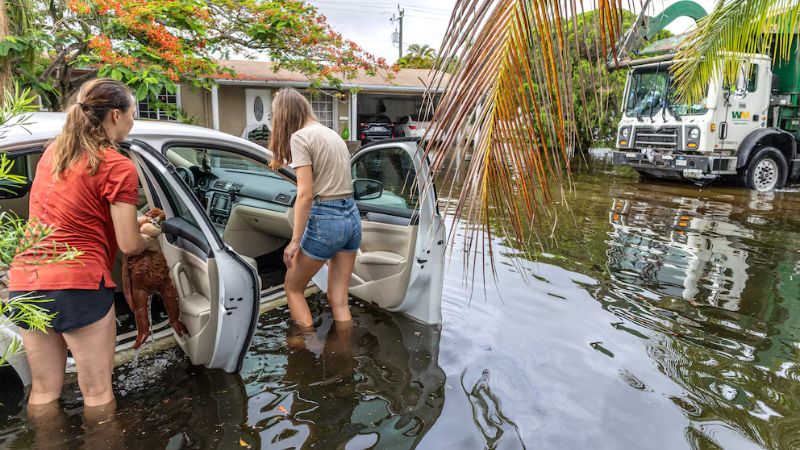Aumentan casos de bacterias “come carne” en Florida tras el paso de huracanes