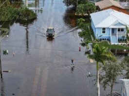 Aumentan casos de bacterias “come carne” en Florida tras el paso de huracanes