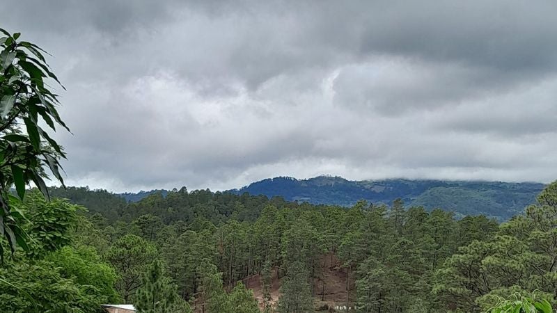 Terrenos Tatumbla 