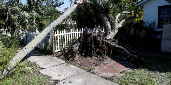 Mujer muere aplastada por árbol huracán Milton