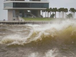 Embarazada logra sobrevivir al huracán Helene tras flotar durante 8 horas junto a su perro