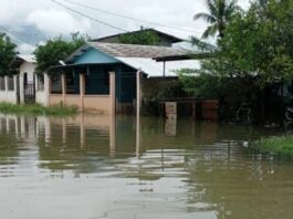 Lluvias dejan al menos 90 casas inundadas en Puerto Cortés