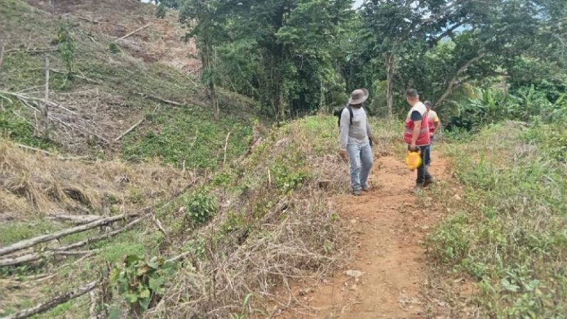 Investigan explotación ambiental en montaña de La Masica (1)