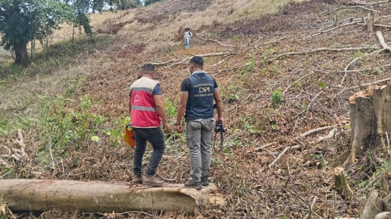 Investigan explotación ambiental en montaña de La Masica