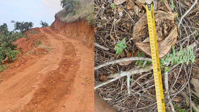 Investigan explotación ambiental en montaña de La Masica (2)