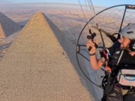 ¡Sorprendente! Perro conquista cima de Pirámide de Guiza