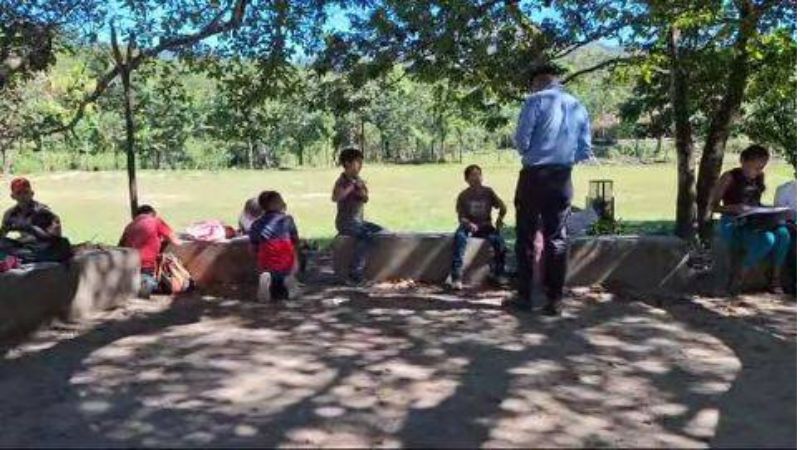 Niños reciben clases bajo un árbol