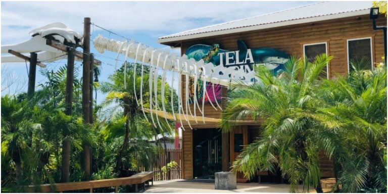 Tela Marine, el acuario más grande de CA que puede visitar en el Feriado Morazánico