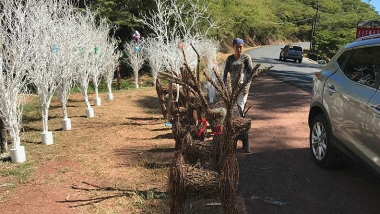 Comerciantes hondureños empiezan venta de producto navideño