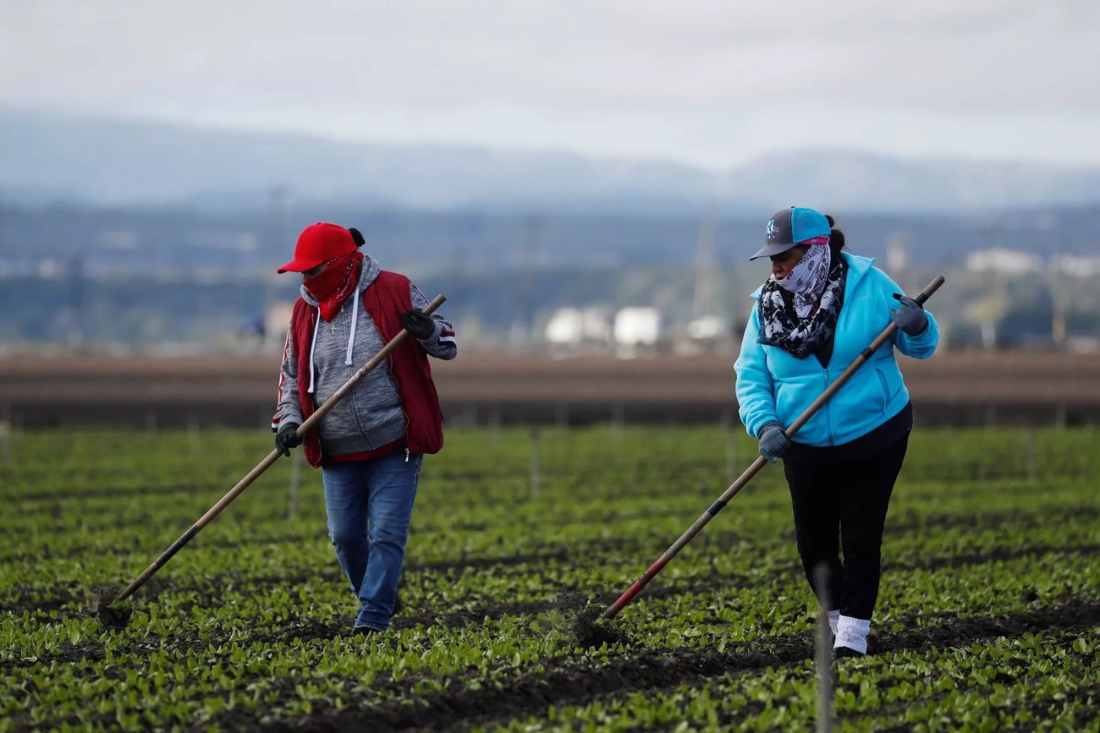 Migrantes trabajadores 