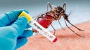 casos-dengue1