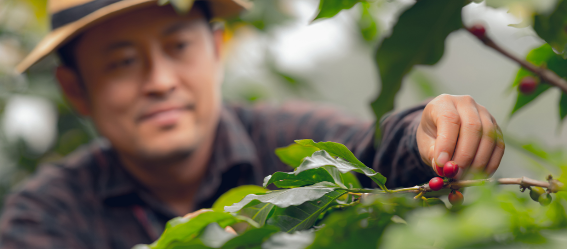 Proponen extender la vigencia de exportaciones bajo la medida “Cero Deforestación”