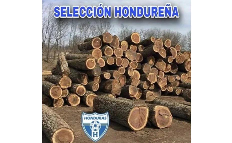 Memes de la derrota de Honduras contra Mexico 