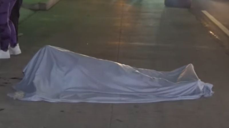 Atropellado Fuerzas Armadas